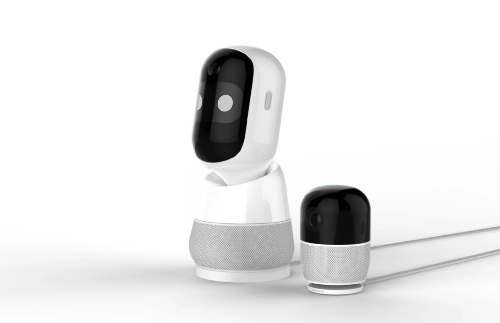 Otto and its companion device, Buddy