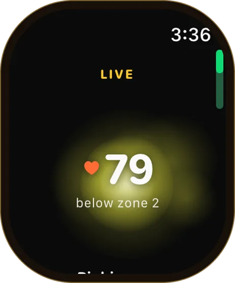 Apple Watch Live screen: heart rate 79, below zone 2, the orb behind it